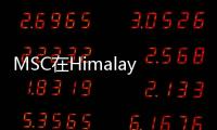 MSC在Himalaya Express服務(wù)增加吉達(dá)港停靠