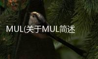 MUL(關(guān)于MUL簡(jiǎn)述)