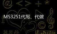 MS3251代寫、代做Python/Java程序