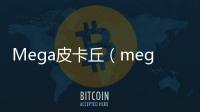 Mega皮卡丘（mega進化皮卡丘）
