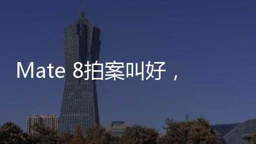 Mate 8拍案叫好，iPhone6讓人吐槽【數(shù)碼&手機(jī)】風(fēng)尚中國(guó)網(wǎng)
