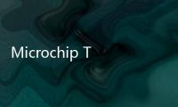 Microchip Technology委托麥格理集團出售亞利桑那州晶圓廠二號