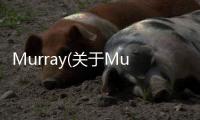 Murray(關于Murray簡述)
