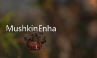 MushkinEnhancedAnnouncesNewDDR3