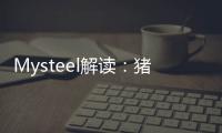 Mysteel解讀：豬市跳漲，國內(nèi)豬糧比價快速回歸
