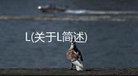 L(關于L簡述)