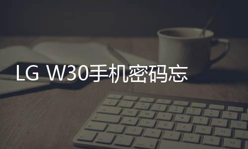 LG W30手機密碼忘了怎么破？