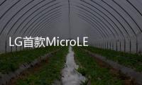 LG首款MicroLED電視或亮相IFA