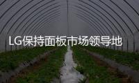 LG保持面板市場領導地位 京東方首次躍居第二