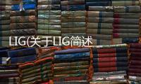 LIG(關于LIG簡述)