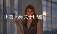 LP液下泵(關于LP液下泵簡述)