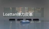 Loattan彈力皮革迷你半身裙(關于Loattan彈力皮革迷你半身裙簡述)