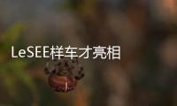 LeSEE樣車才亮相 賈躍亭眼淚流的有點早