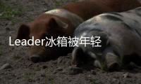Leader冰箱被年輕人喜歡！一次體驗(yàn)足矣，有何特別