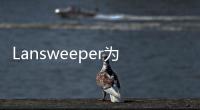 Lansweeper為Acora的托管服務提供了數據基礎