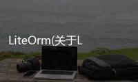 LiteOrm(關于LiteOrm簡述)