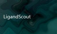 LigandScout(關于LigandScout簡述)