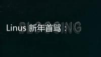Linus 新年首罵：和谷歌大佬大吵 4 天，“你的代碼就是垃圾”