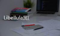 Libellula屬(關于Libellula屬簡述)