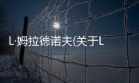 L·姆拉德諾夫(關于L·姆拉德諾夫簡述)
