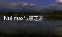 Nullmax與黑芝麻智能簽署深化合作協(xié)議
