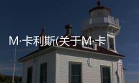 M·卡利斯(關于M·卡利斯簡述)