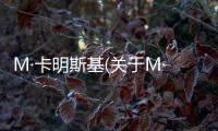 M·卡明斯基(關于M·卡明斯基簡述)