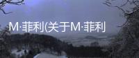 M·菲利(關(guān)于M·菲利簡述)