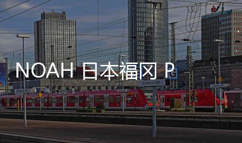 NOAH 日本福岡 Pop