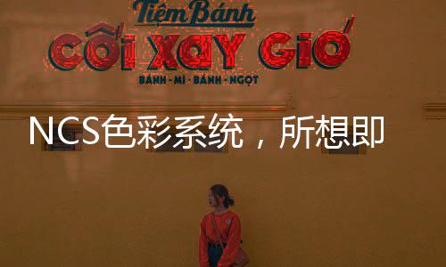 NCS色彩系統，所想即所得的色彩藝術