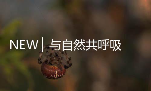 NEW ▏與自然共呼吸，與家人貼近自然澄凈之美