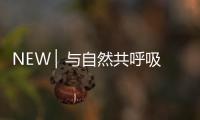 NEW ▏與自然共呼吸，與家人貼近自然澄凈之美