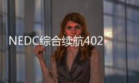 NEDC綜合續航402km 新款雷諾ZOE諜照曝光