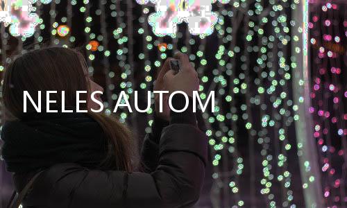 NELES AUTOMATION A413280 CPR1