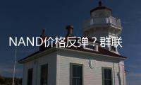 NAND價(jià)格反彈？群聯(lián)：有客戶接受30%至35%漲幅