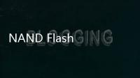 NAND Flash 第四季價(jià)格有望止跌回升，持平或上漲 0~5%