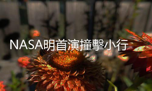 NASA明首演撞擊小行星實(shí)驗(yàn)　鋪路建防禦系統(tǒng)