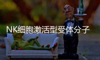 NK細胞激活型受體分子DNAM