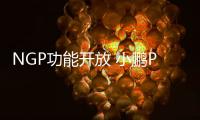 NGP功能開放 小鵬P7車型迎來OTA小范圍公測