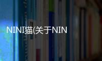 NINI貓(關于NINI貓簡述)