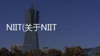NIIT(關于NIIT簡述)