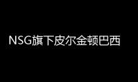 NSG旗下皮爾金頓巴西新增夾層玻璃生產線,企業新聞