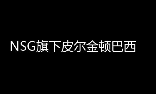 NSG旗下皮爾金頓巴西新增夾層玻璃生產線,企業新聞