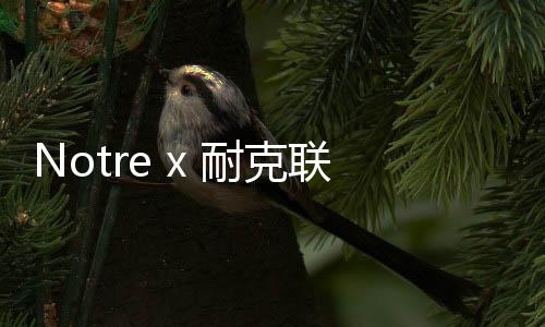 Notre x 耐克聯(lián)名 Dunk Hi 鞋款系列實物曝光，質(zhì)感出眾