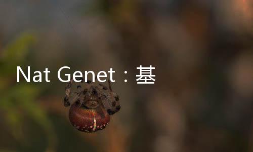 Nat Genet：基于單細胞多組學技術解析DNMT3A R882突變在人類克隆造血中的影響