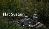 Nat Sustain: 無可溶性多硫化物的Li