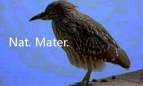 Nat. Mater.：膠束結(jié)構(gòu)實現(xiàn)局部高濃度電解液 – 材料牛