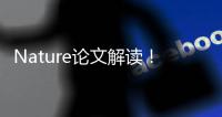 Nature論文解讀！發現一種天然蛋白可促進肌肉干細胞增殖