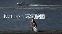 Nature：環(huán)氧胺固化碳纖維增強(qiáng)聚合物回收的乙酸解聚法 – 材料牛