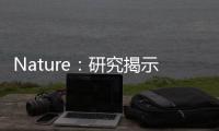 Nature：研究揭示脊椎損傷后的血壓控制機制